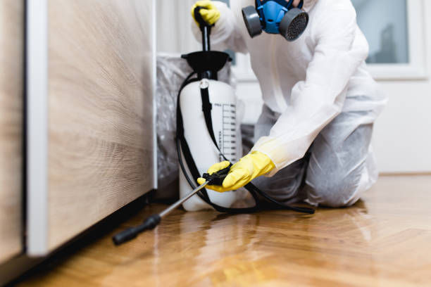 Reliable Morrice, MI Pest Control Solutions