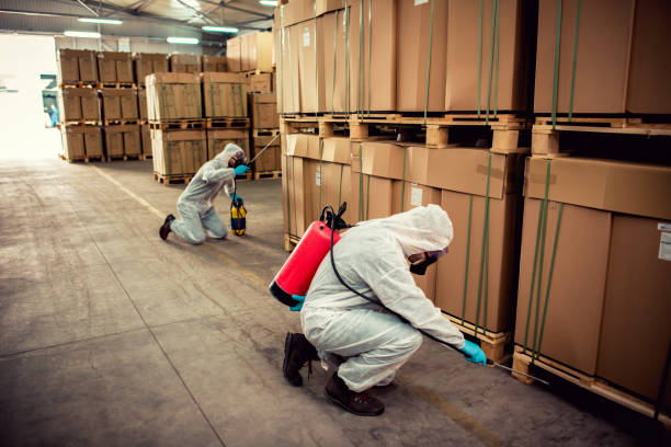 Best Pest Control Cost  in Morrice, MI