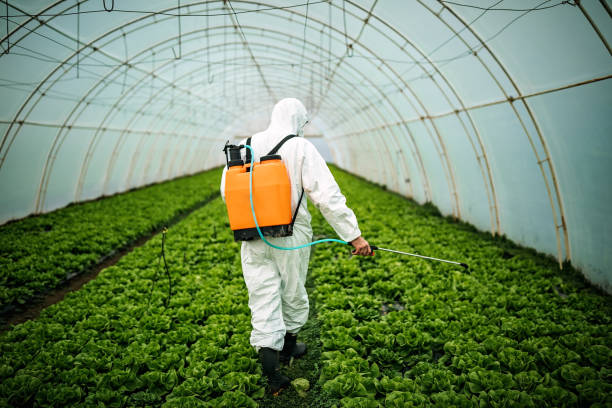 Best Pest Removal Services  in Morrice, MI