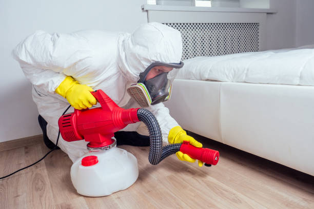 Best Bed Bug Extermination  in Morrice, MI