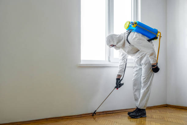 Best Pest Control Near Me  in Morrice, MI