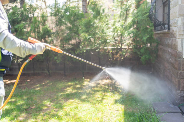 Best Pest Control Near Me  in Morrice, MI