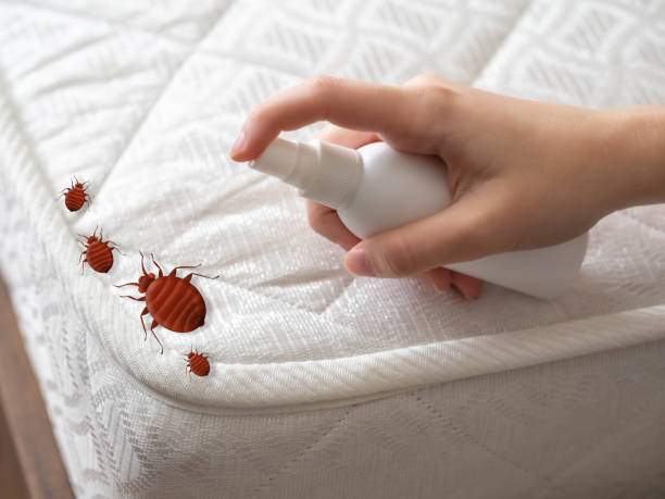 Best Affordable Pest Control Services  in Morrice, MI